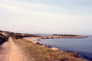 Image description