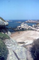 Image description