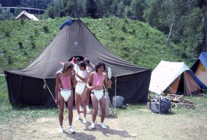 Image description