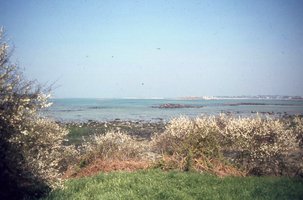 Image description