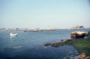 Image description