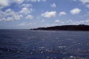 Image description
