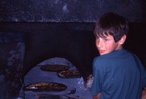 Image description