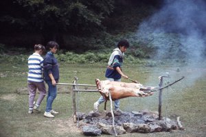 Image description