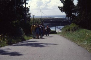 Image description