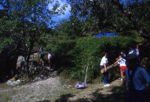 Image description