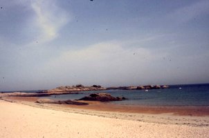 Image description