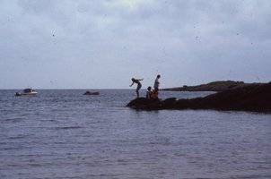 Image description