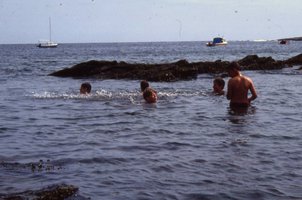 Image description