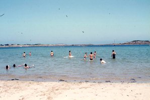 Image description