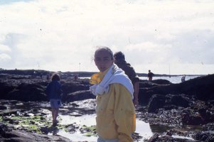 Image description