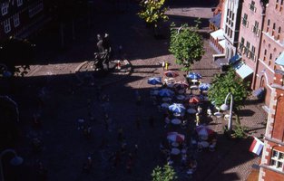 Image description