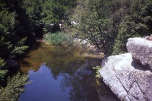 Image description