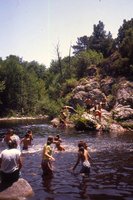 Image description