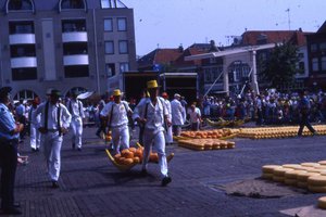 Image description