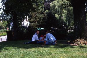 Image description