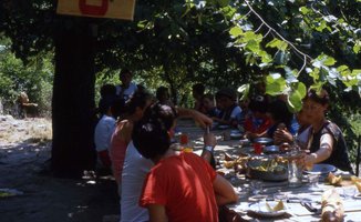 Image description