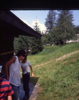 Image description