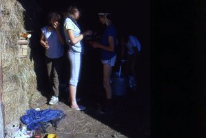 Image description