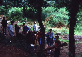 Image description
