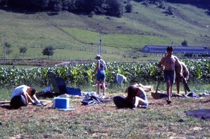 Image description