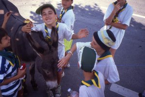 Image description