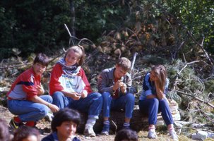 Image description