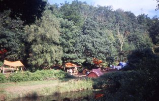 Image description