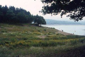 Image description