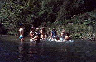 Image description
