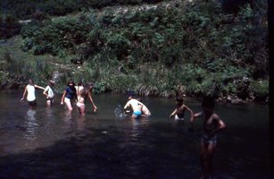 Image description