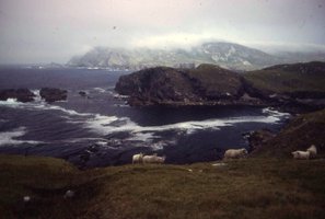 Image description