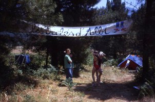 Image description
