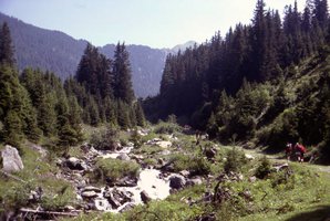 Image description