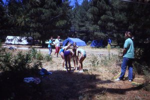 Image description