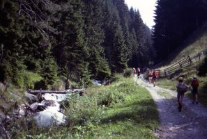 Image description