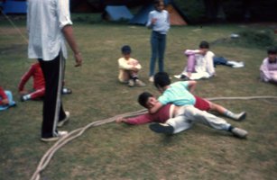 Image description