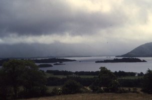 Image description