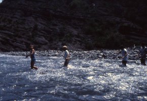 Image description