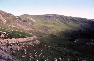 Image description