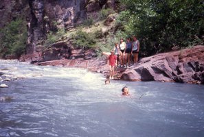 Image description