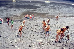 Image description
