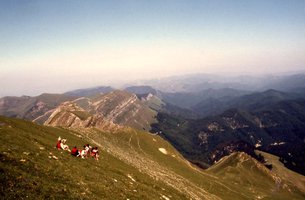 Image description