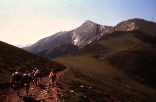 Image description
