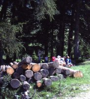 Image description