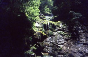 Image description
