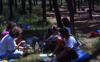 Image description