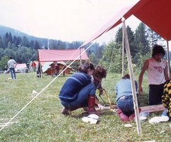 Image description