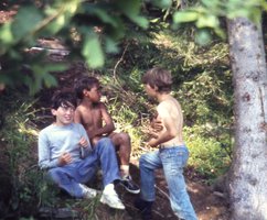 Image description