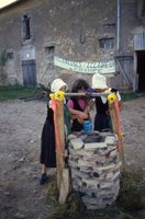 Image description